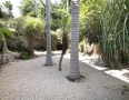 Luxury Apartments for sale in Raanana Israel.